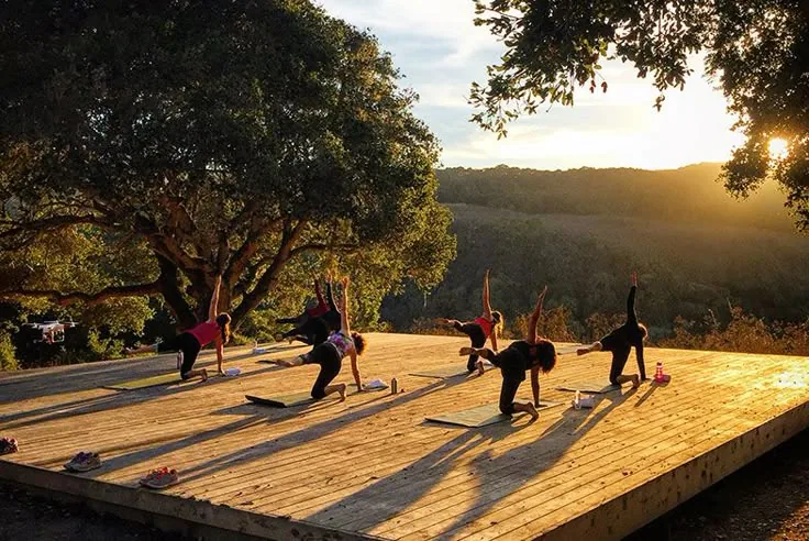 Yoga Lawn