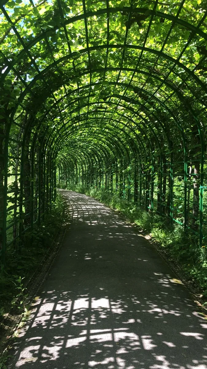 Verdant Passage