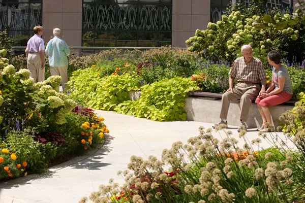 Senior Citizen Area