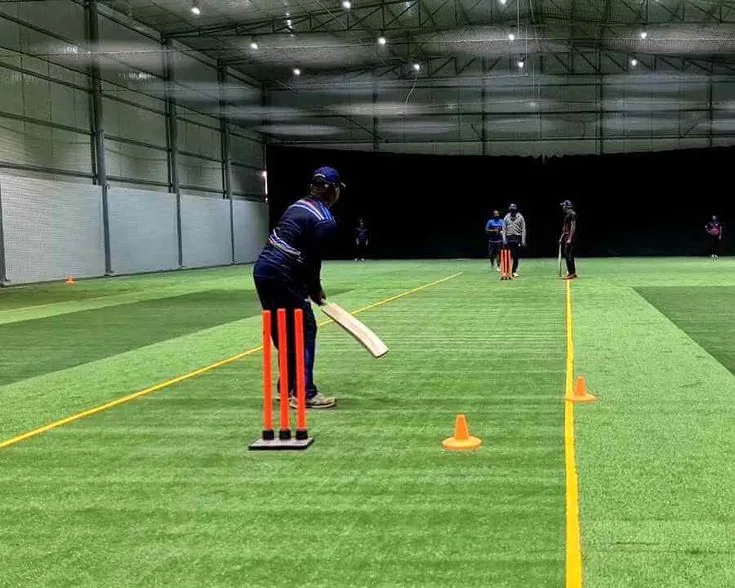 Cricket Court