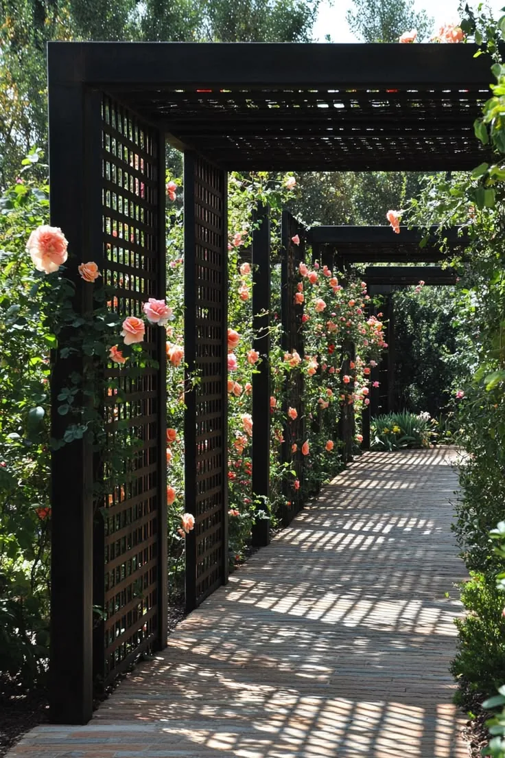Viewing Trellis