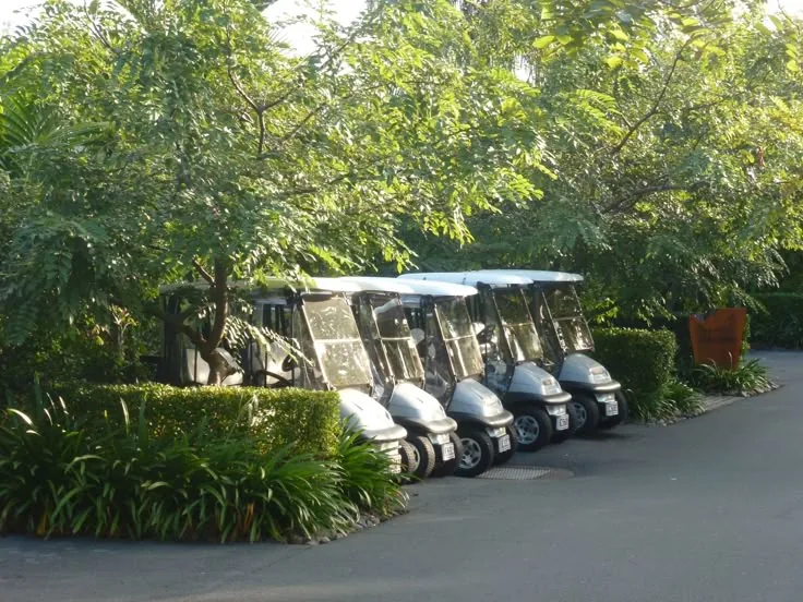 Buggy Parking