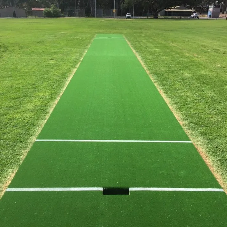 Cricket Pitch