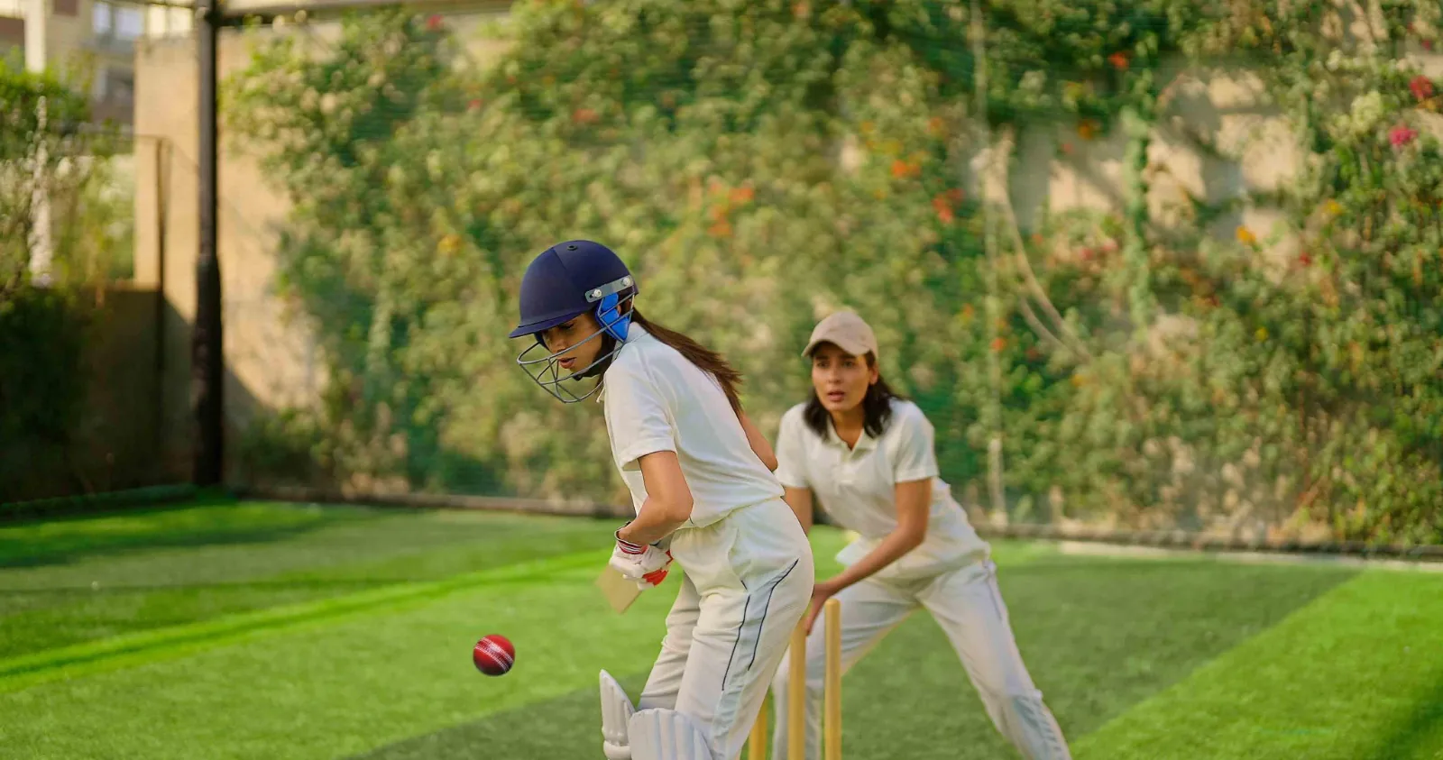 Cricket Net