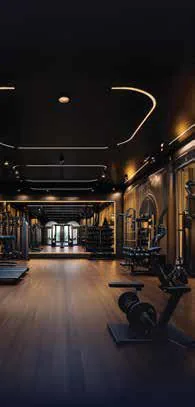 Gymnasium