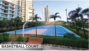 Basketball Court