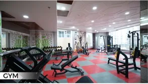 Gymnasium