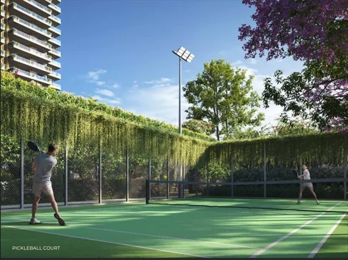 Picketball Court