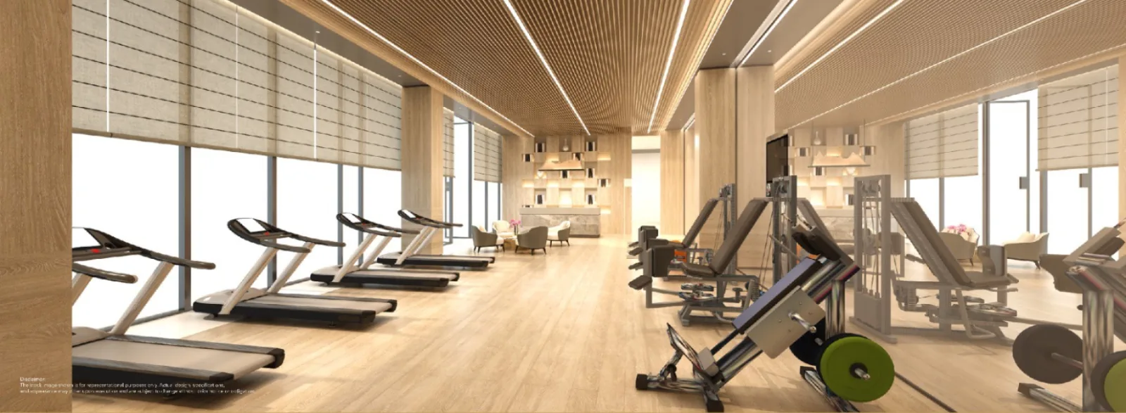 Gymnasium