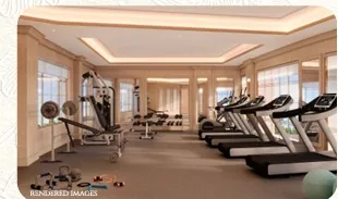Gymnasium