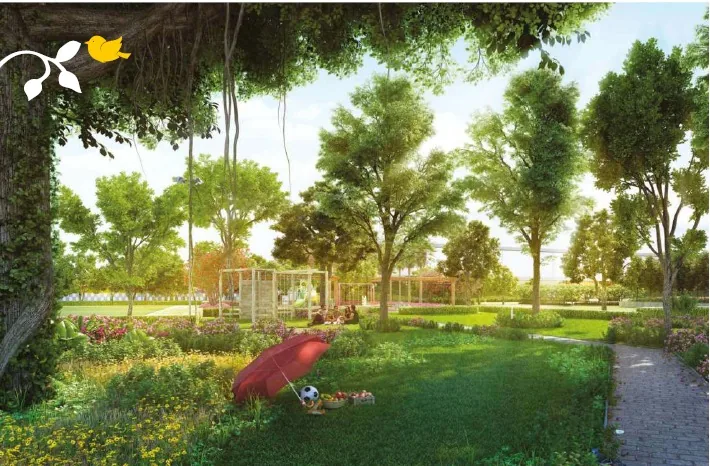 Garden / Park
