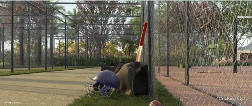 Cricket Net