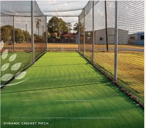 Cricket Net