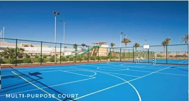 Multipurpose Sport Court