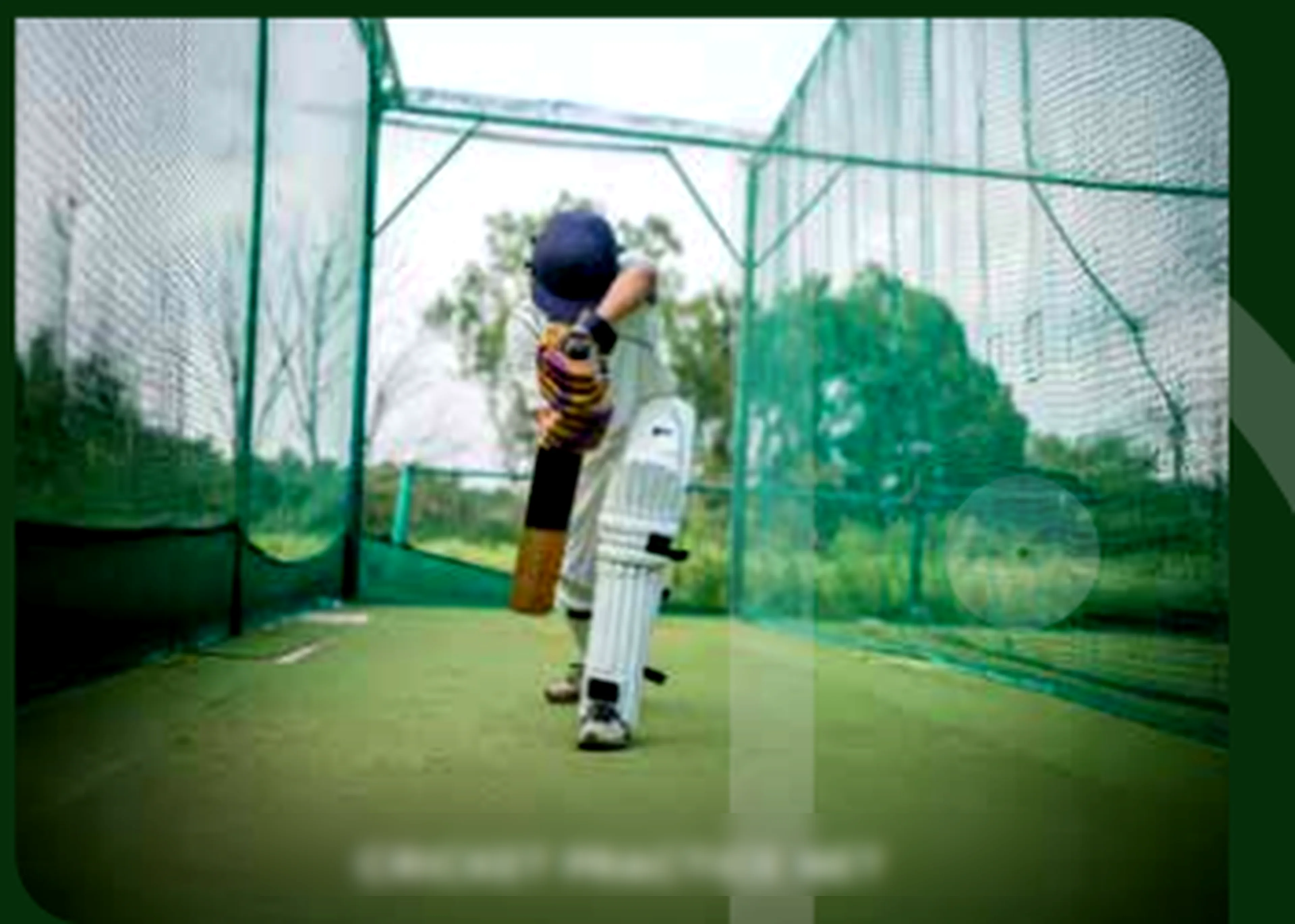 Cricket Net