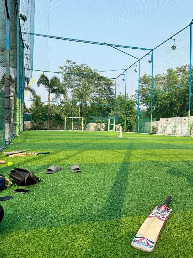 Cricket Pitch