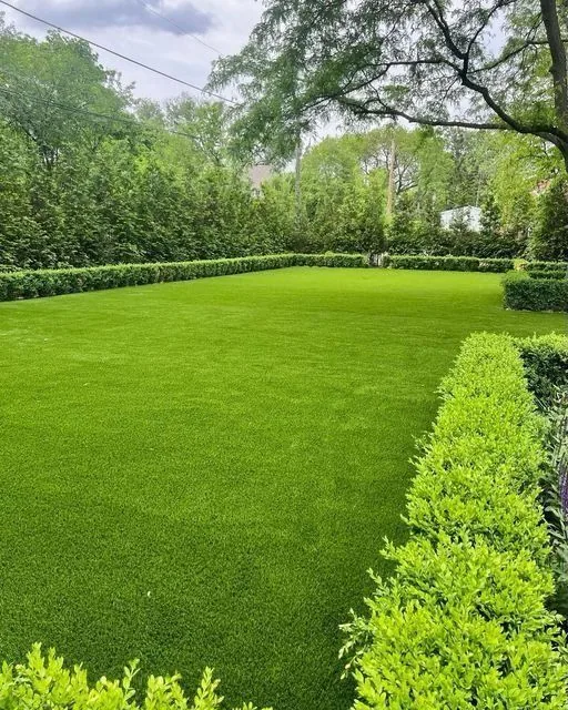 Lawn