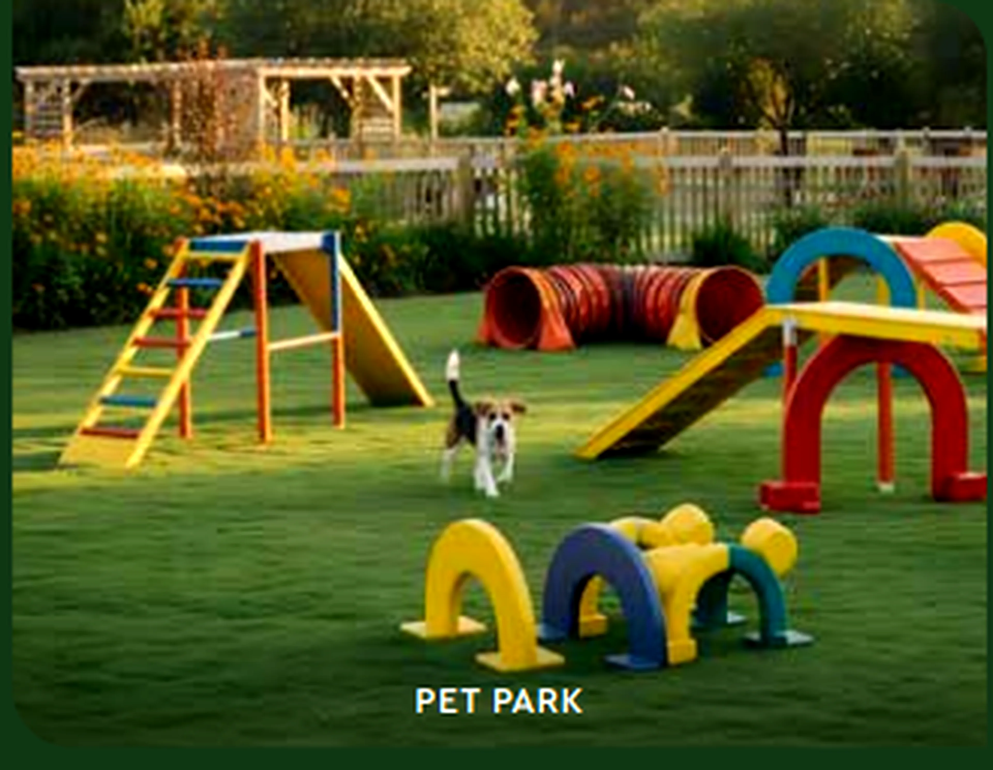Pet park