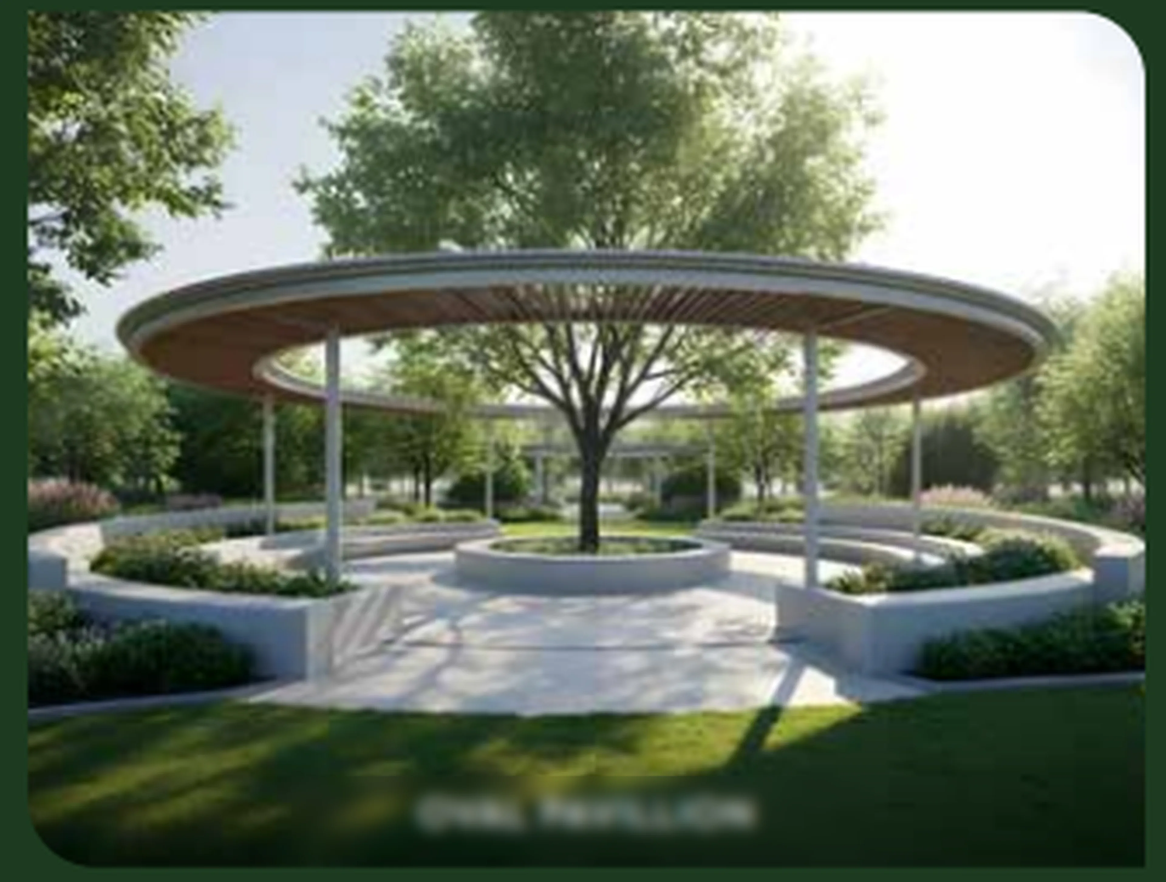 Senior Citizen Area