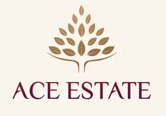 ACE Group