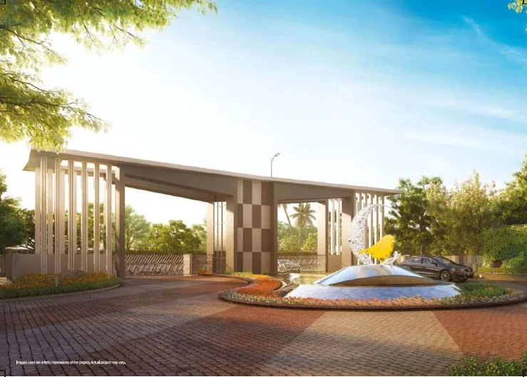 Prateek Canary image 4